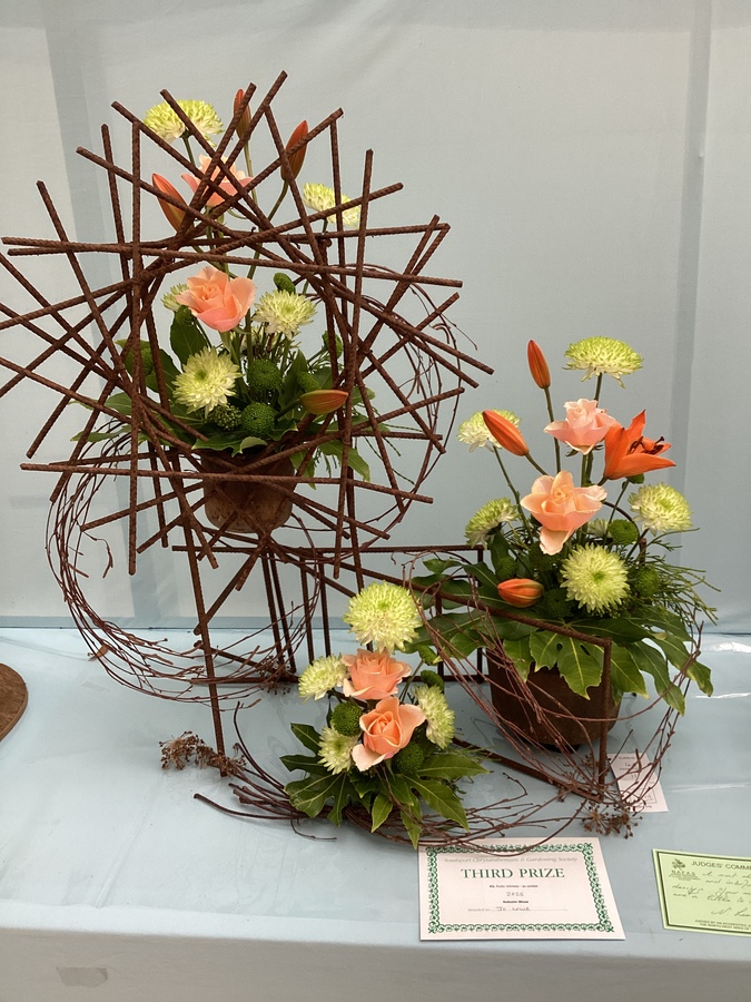SCGS Autumn Show 2025 (191)
